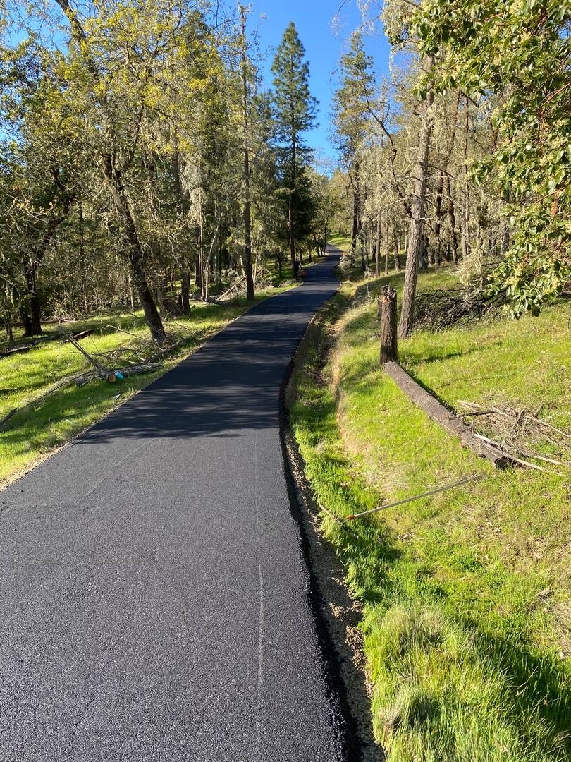 New asphalt lane through a wooded area with green grass on both sides